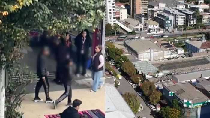 Tres bandas de menores de edad atemorizan tradicional paseo de Viña del Mar