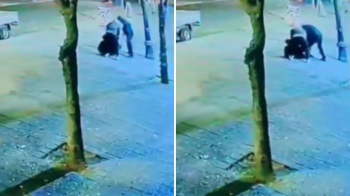 Detienen en pleno asalto a integrantes de “La Jauría” en el Parque Forestal