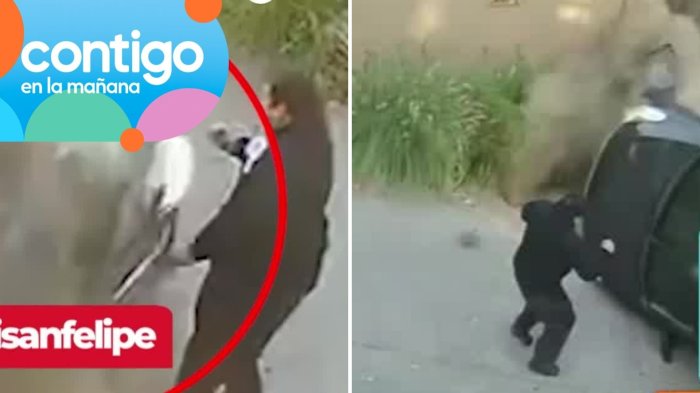 “No le conté a nadie”: Habla hombre que se salvó de milagro tras accidente en San Felipe