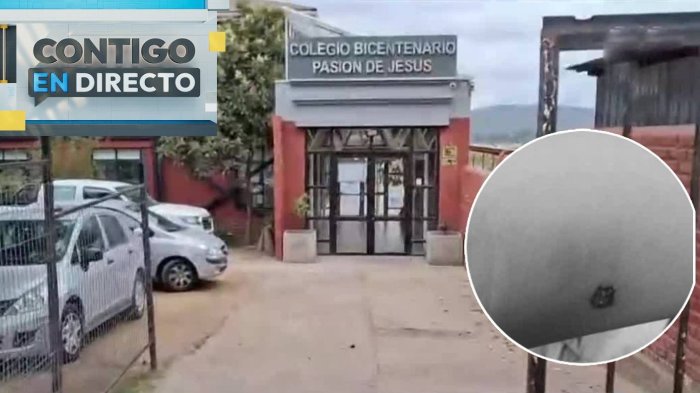 Perro pitbull entró a un colegio, atacó y dejó a cuatro alumnos heridos en Limache: Sigue suelto