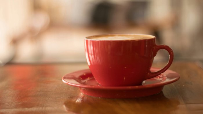 Té, café o chocolate caliente: ¿Cuál es la mejor opción para combatir el frío?