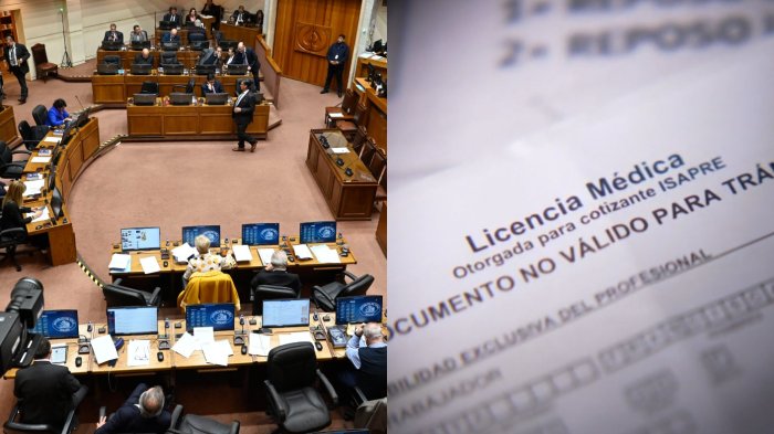 Diputados en la mira: Congreso inicia investigación por eventuales viajes de parlamentarios con licencia