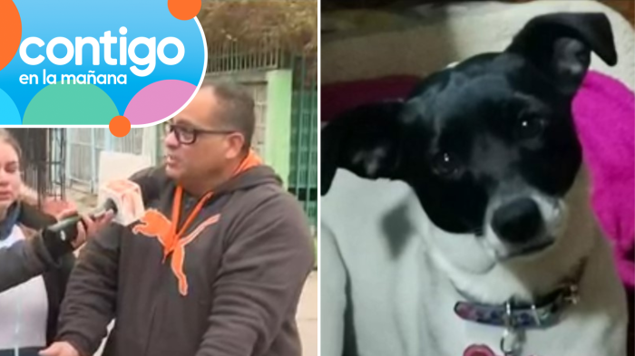 “Es la luz de la casa”: Familia desesperada acusa a peluquera canina de extraviar a su perrita
