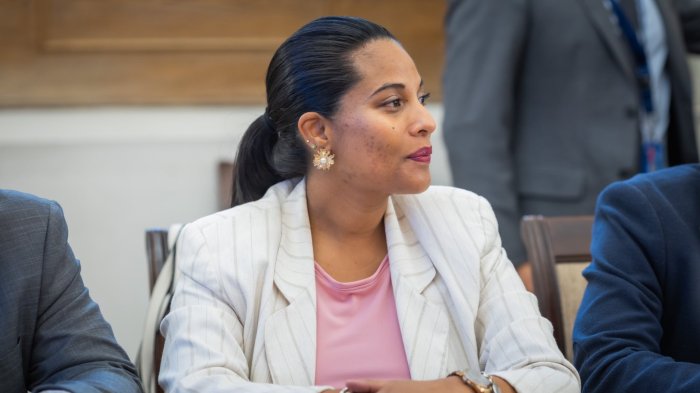 Preocupación por delegada presidencial de Arica: Fue internada de urgencia tras dar a luz a su hija