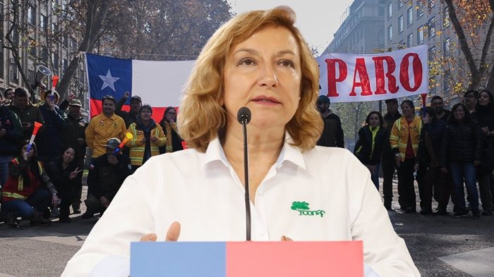 Gobierno confirmó renuncia de directora de Conaf en medio de paro indefinido de trabajadores