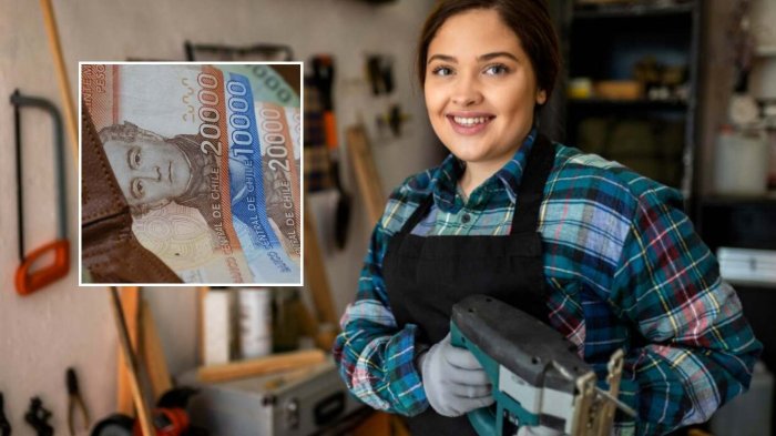 Mujeres que no estén cesantes reciben $678 mil anuales si cumplen con los requisitos