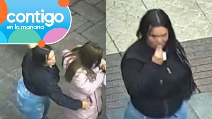 Así operaban “Los Guanacos” del centro de Santiago: Escupían a sus víctimas para marcar y robar