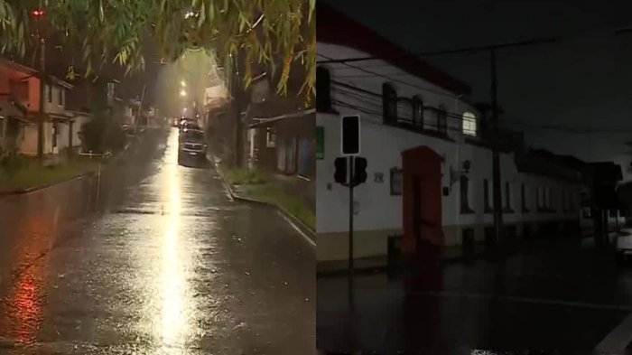 Fuerte temporal azota desde la región del Biobío al sur: Se registran cortes de luz y árboles caídos