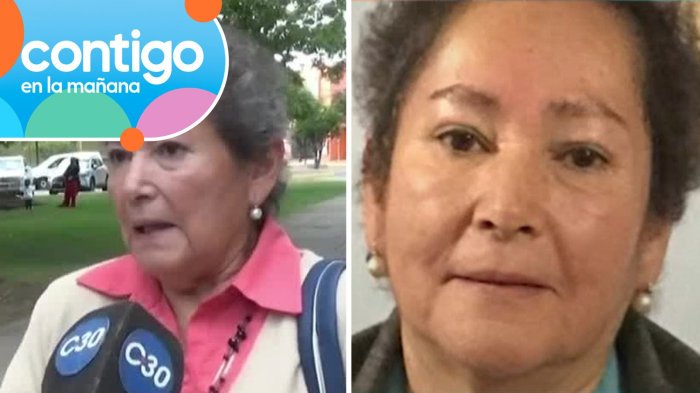 Incertidumbre en Villa Alegre por desaparición de concejala: Salió a ayudar tras temporal y no volvió