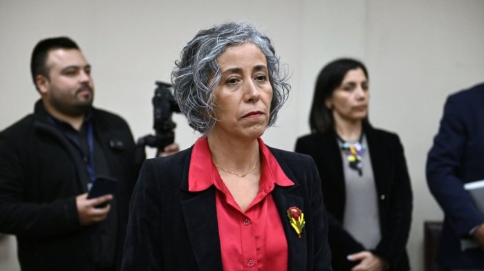 Caso licencias médicas: Gobierno solicitó la renuncia de la Superintendenta de Seguridad Social, Pamela Gana Cornejo