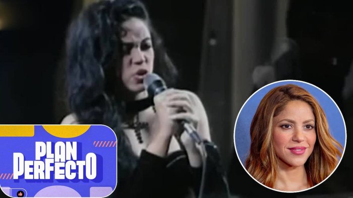 Cantaron en Viña y lograron la fama mundial: Los artistas que saltaron al estrellato en la Quinta Vergara