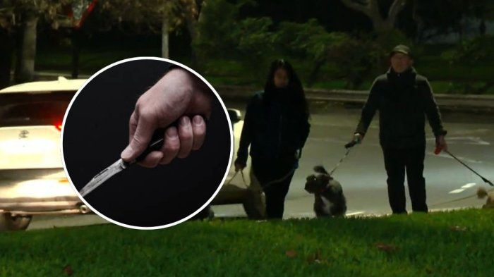 Sacó a pasear a su perro y terminó apuñalado: Hombre sufrió violento asalto en Parque de Los Reyes