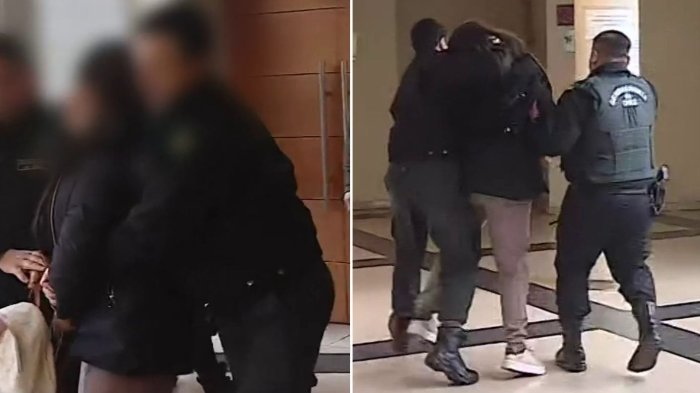 “¡Espera que te pille afuera!”: Fue a formalización de amigo y quedó detenida por amenazar a gendarme