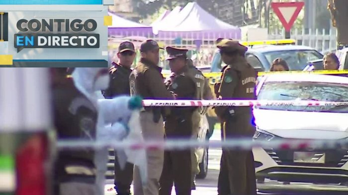 Víctima sería empresario de Meiggs: Nuevos antecedentes del crimen a disparos en sector residencial de Ñuñoa