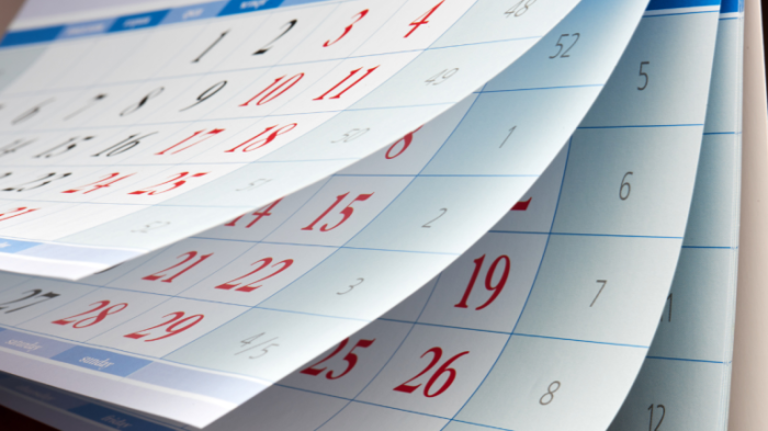 Fin de semana largo: ¿Por qué es feriado hoy viernes 20 de junio?