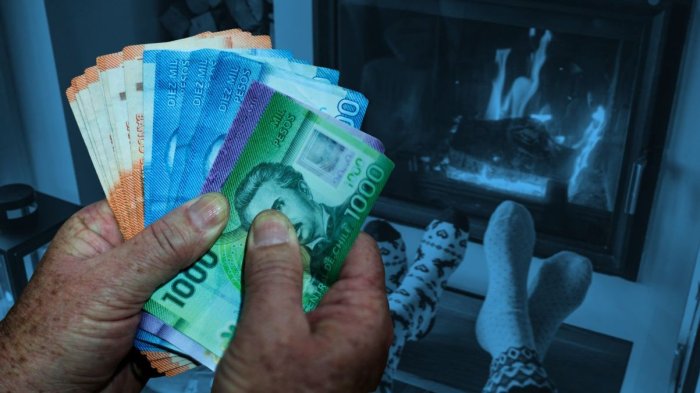 Bono de $100 mil para gastos en calefacción: Conoce requisitos y consulta con tu RUT si lo recibes