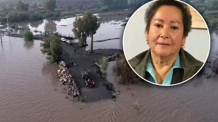 Amplían rango de búsqueda de concejala desaparecida en Villa Alegre: Familia sospecha crimen político