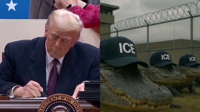 Alcatraz Caimán: Trump inaugurará cárcel para migrantes indocumentados rodeada de cocodrilos y serpientes