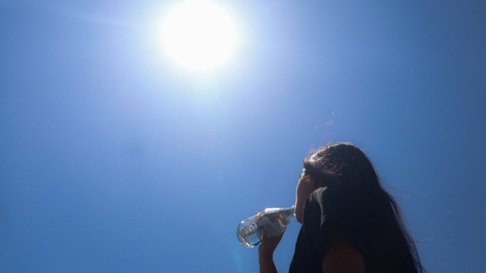 Dirección Meteorológica emite aviso por altas temperaturas en seis regiones de Chile