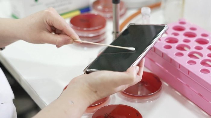 ¿Qué tanta suciedad acumulan los celulares? Un laboratorio puso estos aparatos a prueba