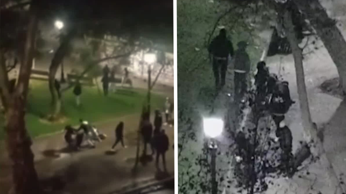 Detienen a 6 integrantes de la “jauría” del Parque Forestal: Todos tienen antecedentes