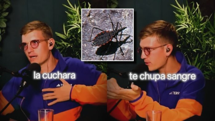 Influencer especializado en insectos destapa cuál es el que más miedo le da: Está en Chile