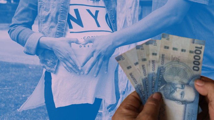 IPS paga la Asignación Maternal en julio: Consulta con tu RUT si recibes el bono