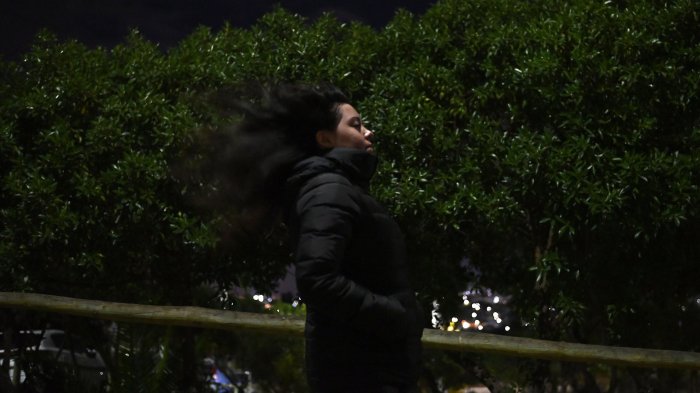 Con “probabilidad de generar riesgos en las personas”: Emiten alerta por vientos en dos regiones de Chile