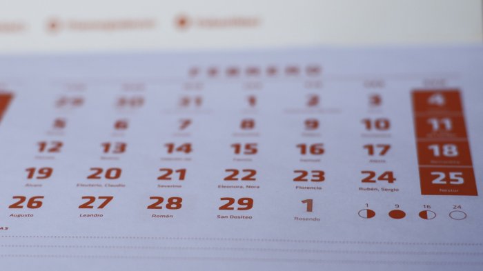 La próxima semana es corta: revisa ACÁ todos los feriados que quedan en 2025