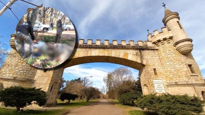 Decapitados y desmembrados: El macabro hallazgo de varios animales que tiene a la Policía argentina investigando posible ritual