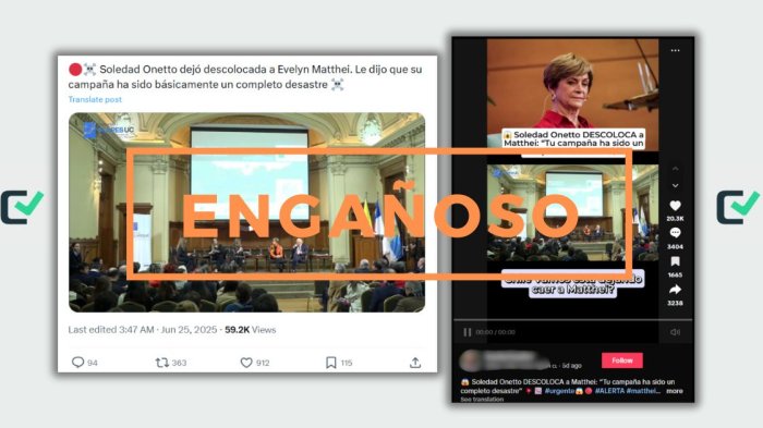 Es engañoso que Soledad Onetto dijera que la campaña de Matthei “ha sido un completo desastre”