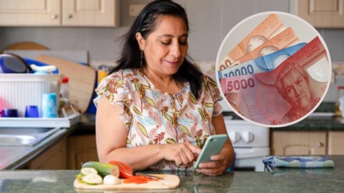 Bono dueña de casa se puede recibir por hasta dos años: Revisa con tu RUT si eres beneficiaria