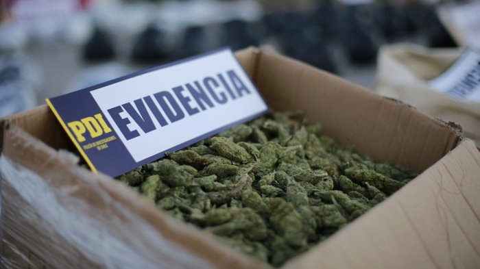 Detienen a octogenaria mujer por microtráfico de drogas en Lota