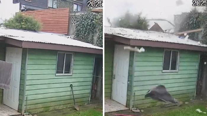 VIDEO | Captan momento exacto de la explosión en Temuco: Hay una mujer fallecida y varias casas dañadas