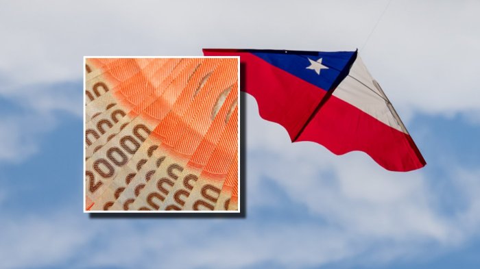 ¿Trabajas en el sector público? Así obtienes los $88 mil del aguinaldo de Fiestas Patrias