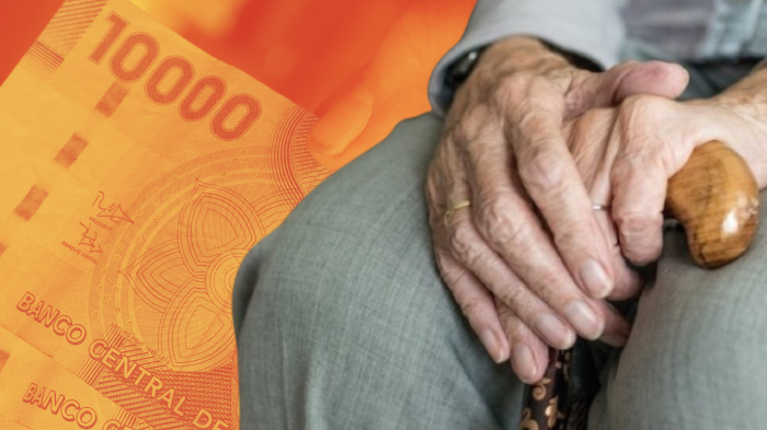 PGU sube a $250 mil en algunas semanas: Revisa quienes son los primeros en recibir este monto