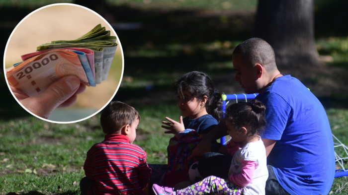 Última esperanza: Revisa con tu RUT si tienes pendiente el pago del Aporte familiar permanente 2025