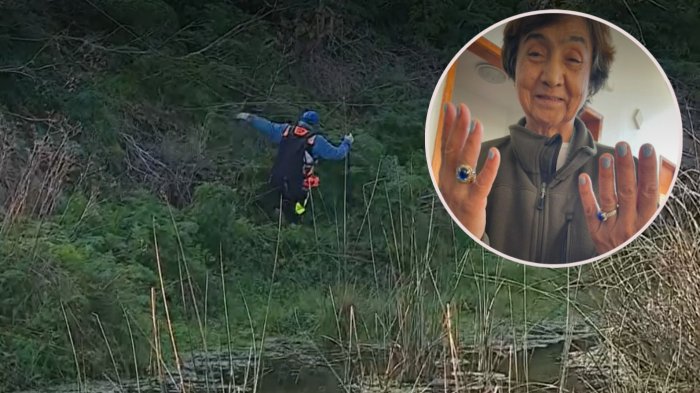 Abandonó hogar de ancianos: Todo lo que se sabe de la misteriosa desaparición de adulta mayor en San Antonio