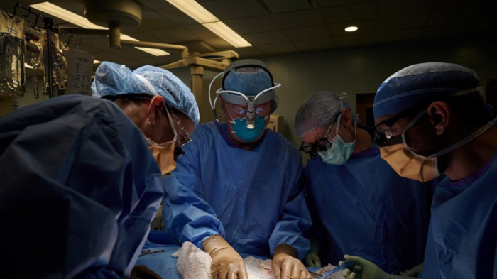 Fonasa cubrirá GRATIS operaciones de cadera y rodilla: Estos son los requisitos para acceder