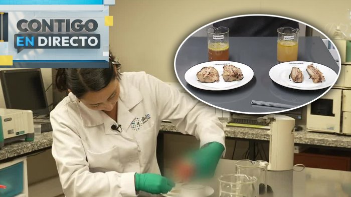 Tendrían origen chino: Alerta por venta de millones de latas con supuesto “jurel falso”