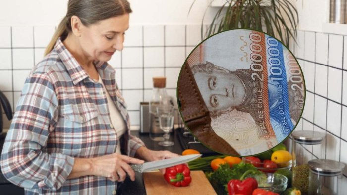 Bono del IPS para mujeres mayores de 45 años: Revisa con tu RUT si lo obtienes