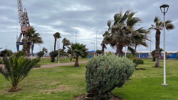 Vientos de hasta 70 km/h: Activan alerta en nueve regiones del norte al sur de Chile