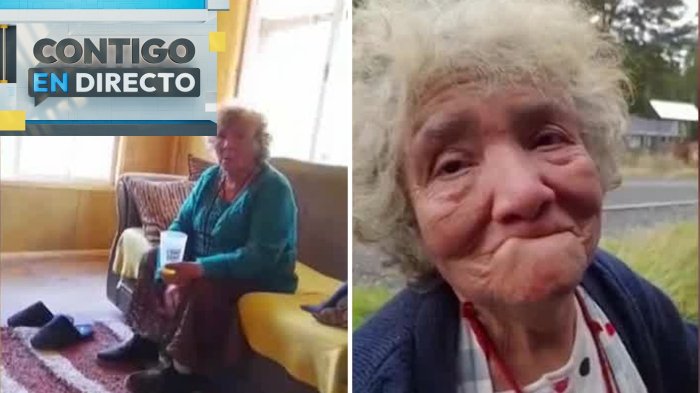 Enigmática desaparición: Adulta mayor de 74 años es intensamente buscada en Puerto Montt