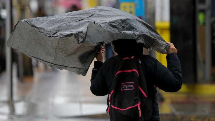 “Severidad fuerte”: Emiten alerta por lluvias en el Maule y La Araucanía