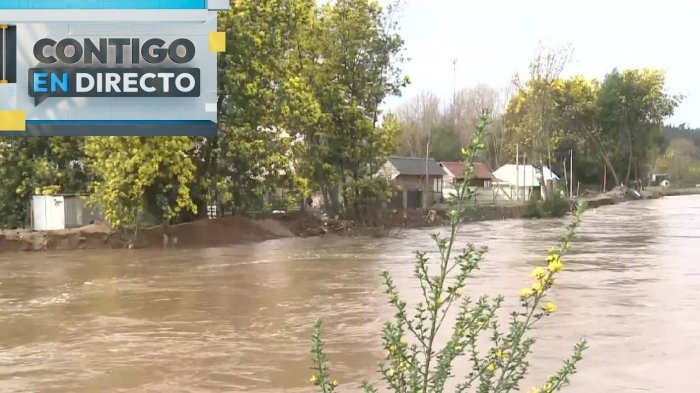 Evacúan dos sectores de Concepción por peligro de desborde del río Andalién tras intensas lluvias