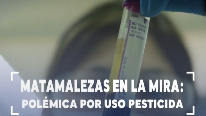 Matamalezas en la mira: Culpan a herbicidas de provocar cáncer