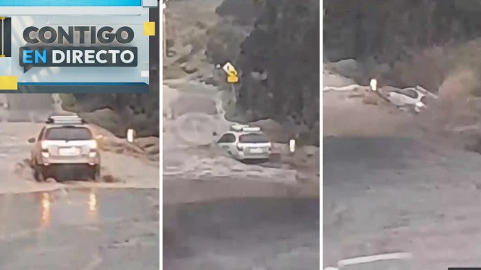 Auto fue arrastrado por la corriente: Impactante rescate de conductor que cayó al estero en Punitaqui