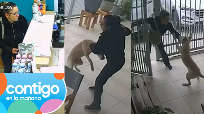 VIDEO DESOLADOR | Mujer abandonó a su perro en veterinaria tras asegurar que “no tiene recursos para cuidarlo”