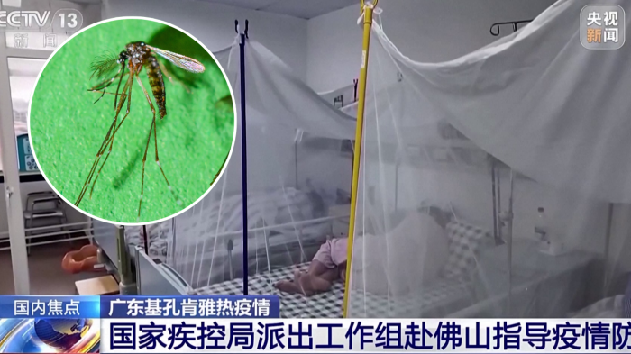 ¿Qué es el Chikungunya? El virus que obligó a reactivar protocolos de pandemia por su propagación en China