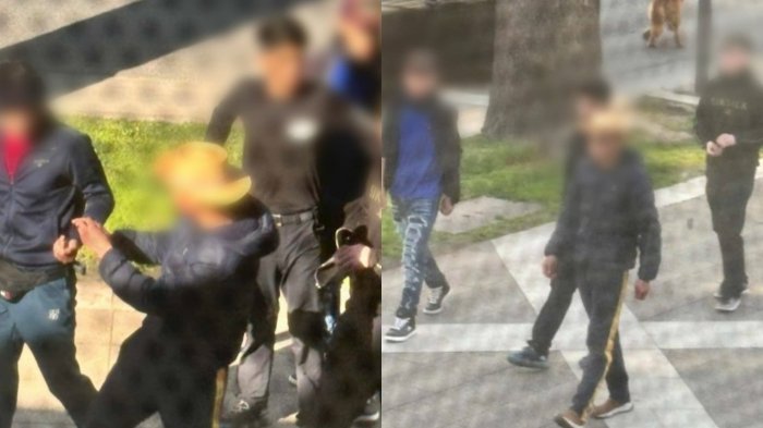 Dejan libres a cinco integrantes de “la Jauría de Viña del Mar”: Son todos menores de edad